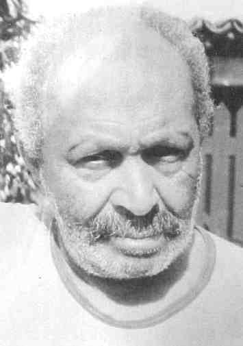 Chico Tabibuia